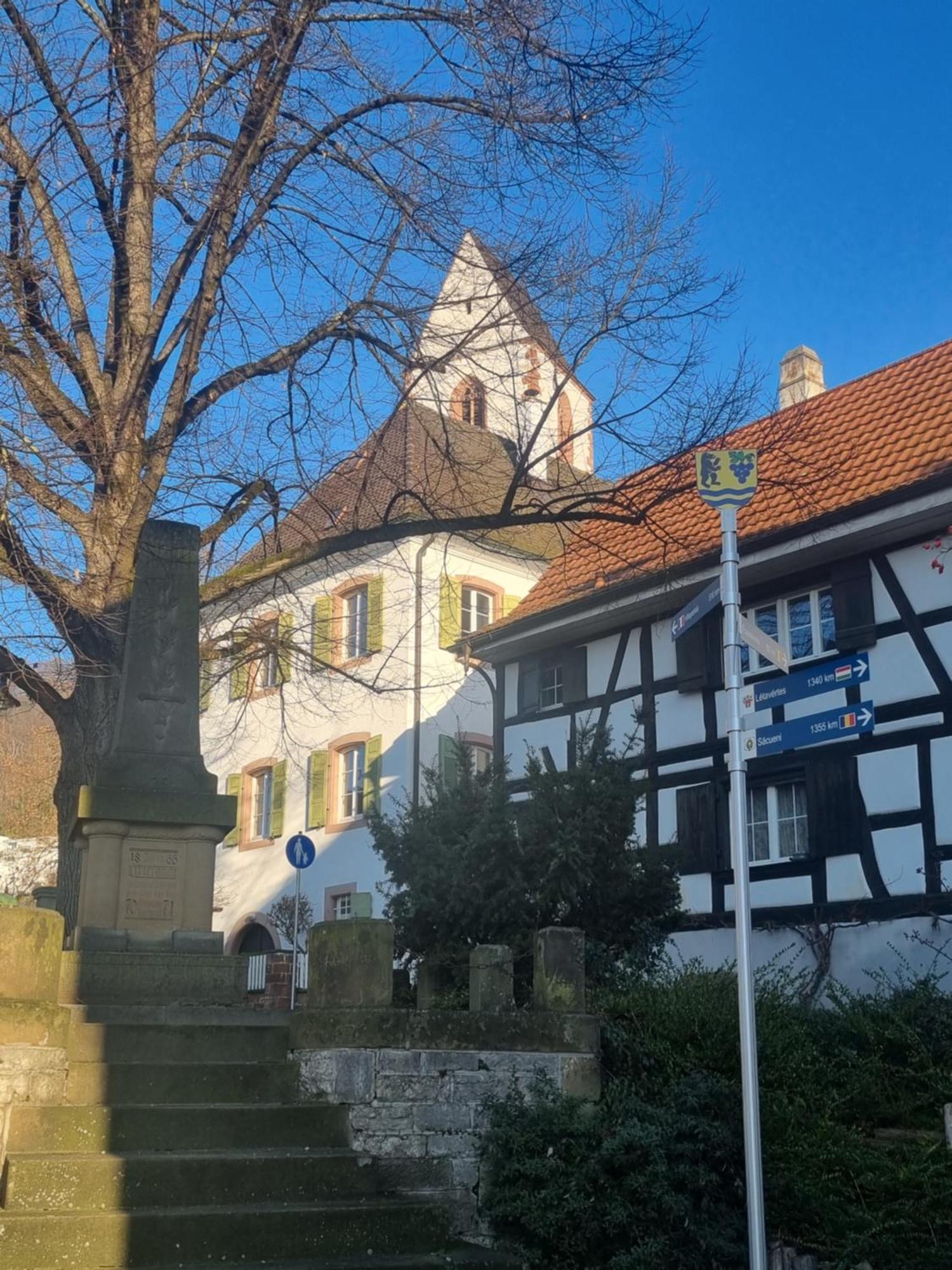 Apartamento Regio Basiliensis Grenzach-Wyhlen Exterior foto